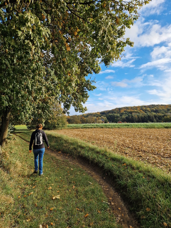 Herfstig-Hageland-foto