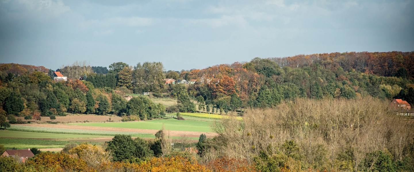 Overzicht over herfstig Hagelands landschap