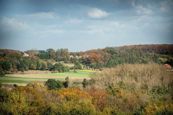 Landschapsfoto Houwaartse Bergwandeling