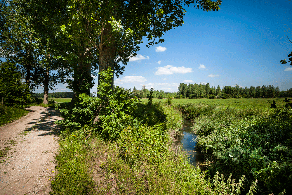 Zoutleeuw - foto