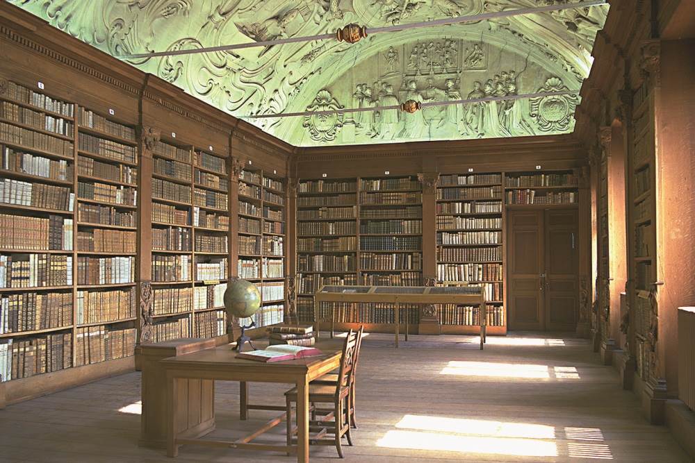 Bibliotheek met stucplafond