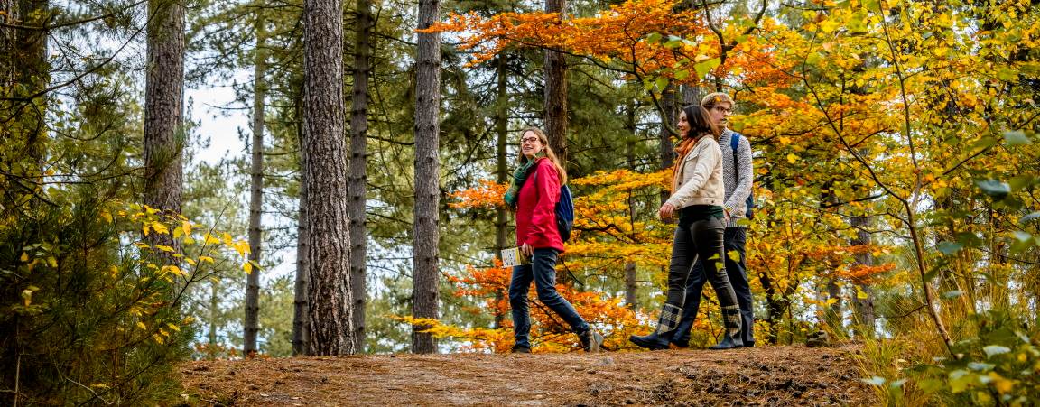 Vrienden op wandel in kleurrijk herfstbos