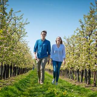Man en vrouw wandelen door boomgaard met bloesems