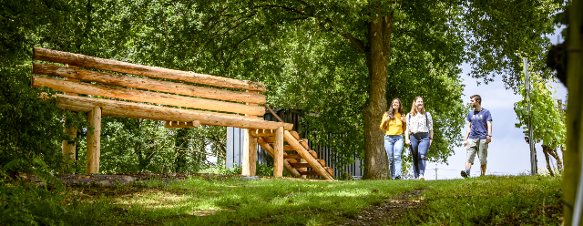 Wandelaars aan de wijnbank op de Houwaartse Berg