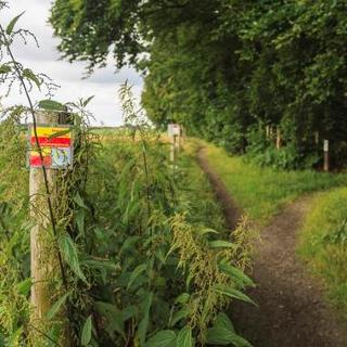 Bospad op GR-route