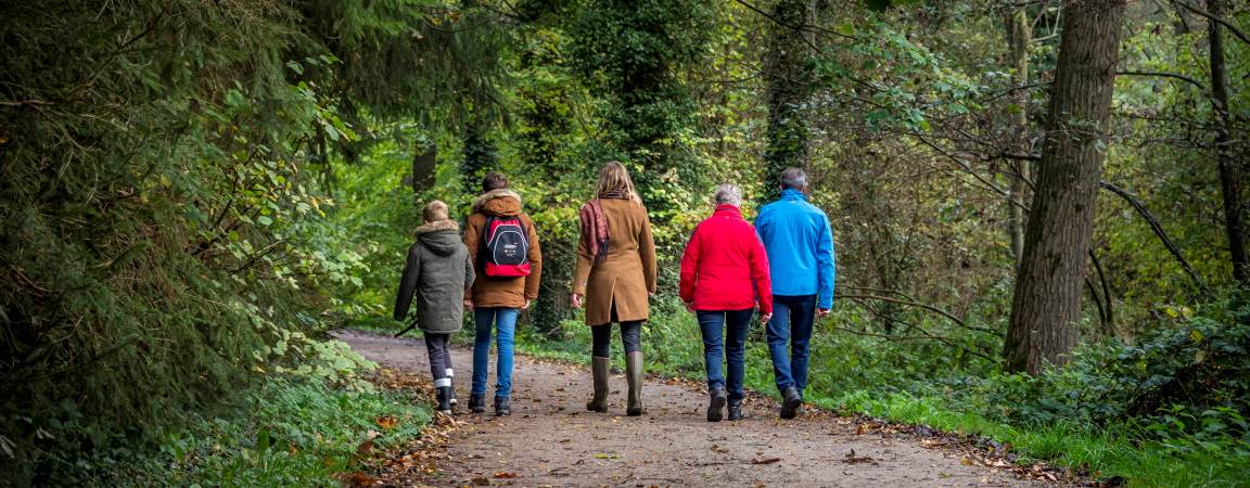 wandelen-in-bossen-header