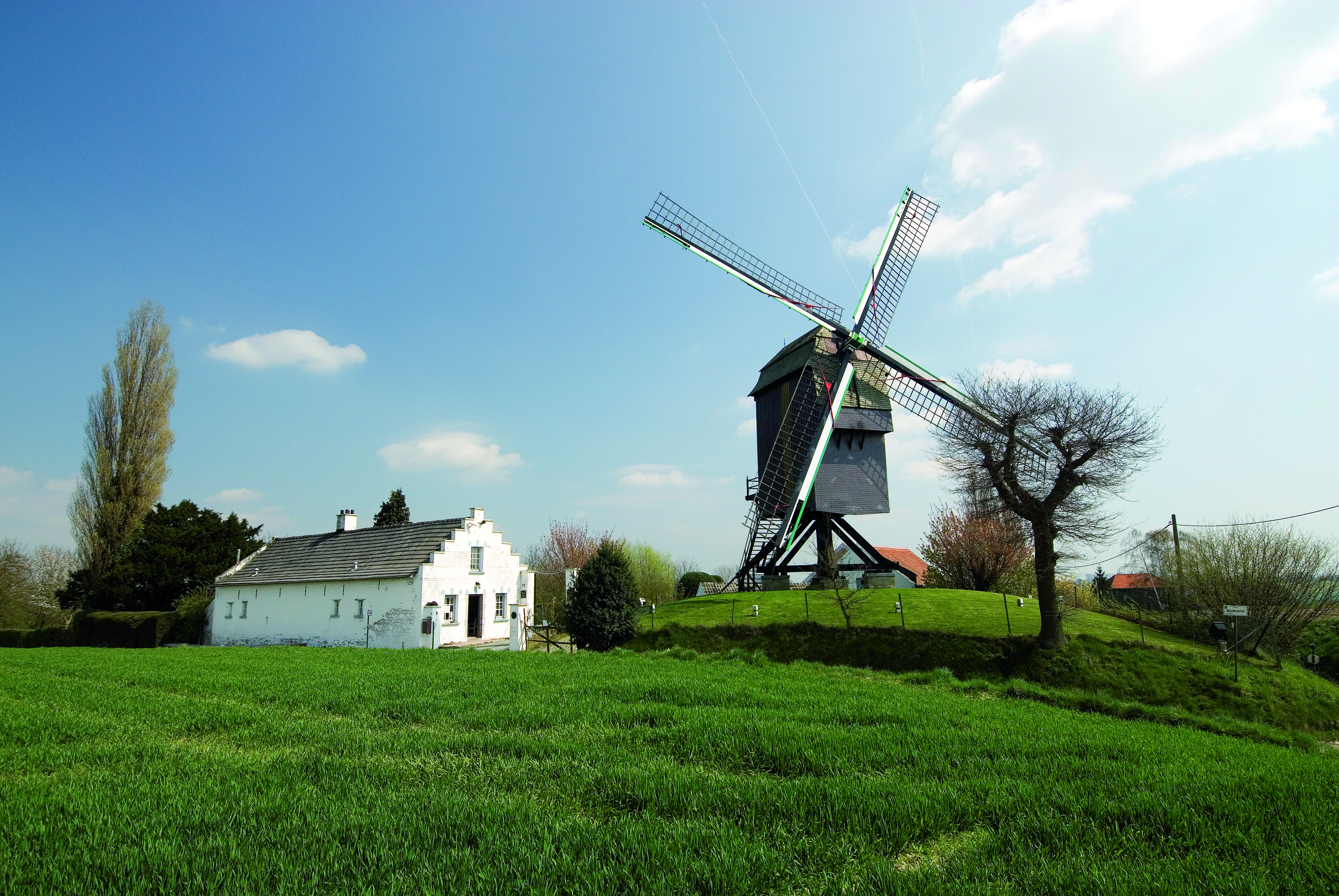 Zepposmolen-foto